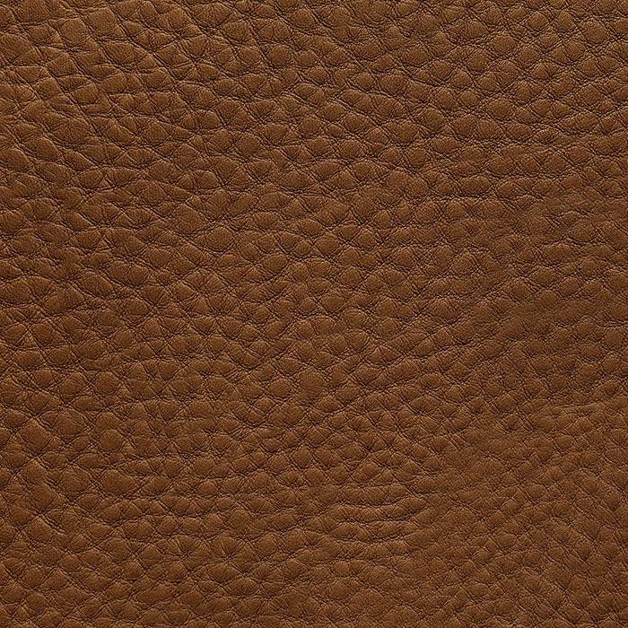Hollywood – Canapé design | GAMMA ARREDAMENTI