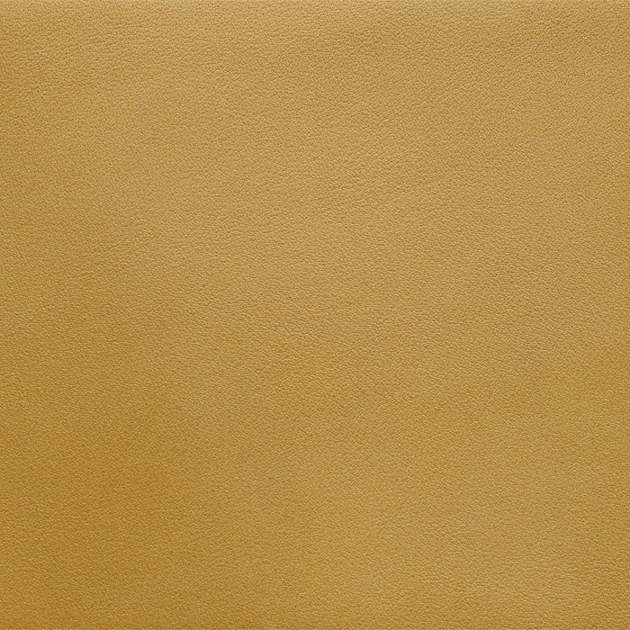 Bellevue – Canapé design | GAMMA ARREDAMENTI