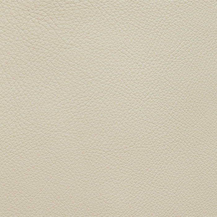 Bellevue – Canapé design | GAMMA ARREDAMENTI