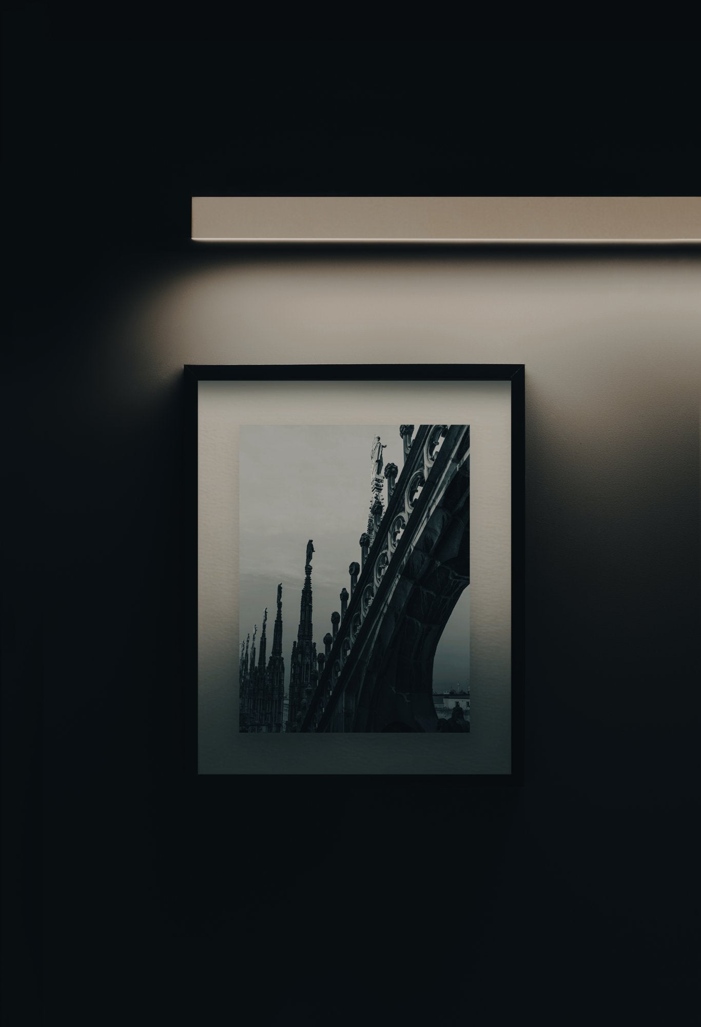 Photographie officielle — Fly applique picture Contardi