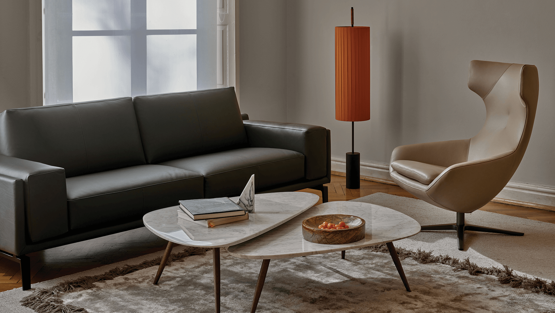 Fauteuil Caruzzo Leolux - image 1