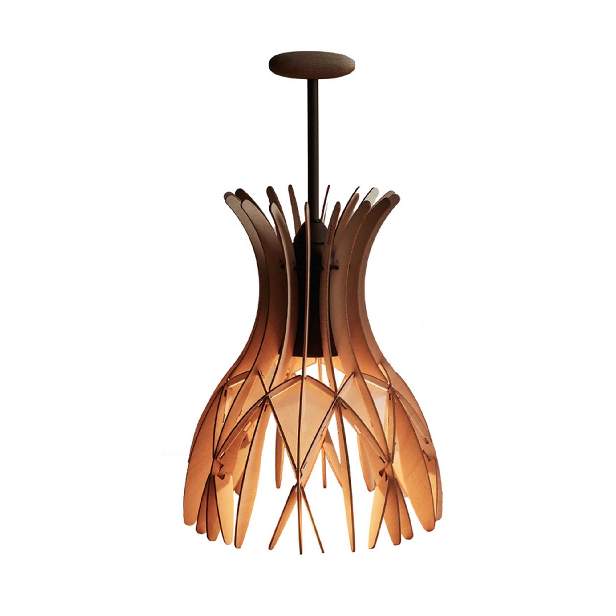 Domita M/36 Bover — brun et bois naturel — photographie officielle
