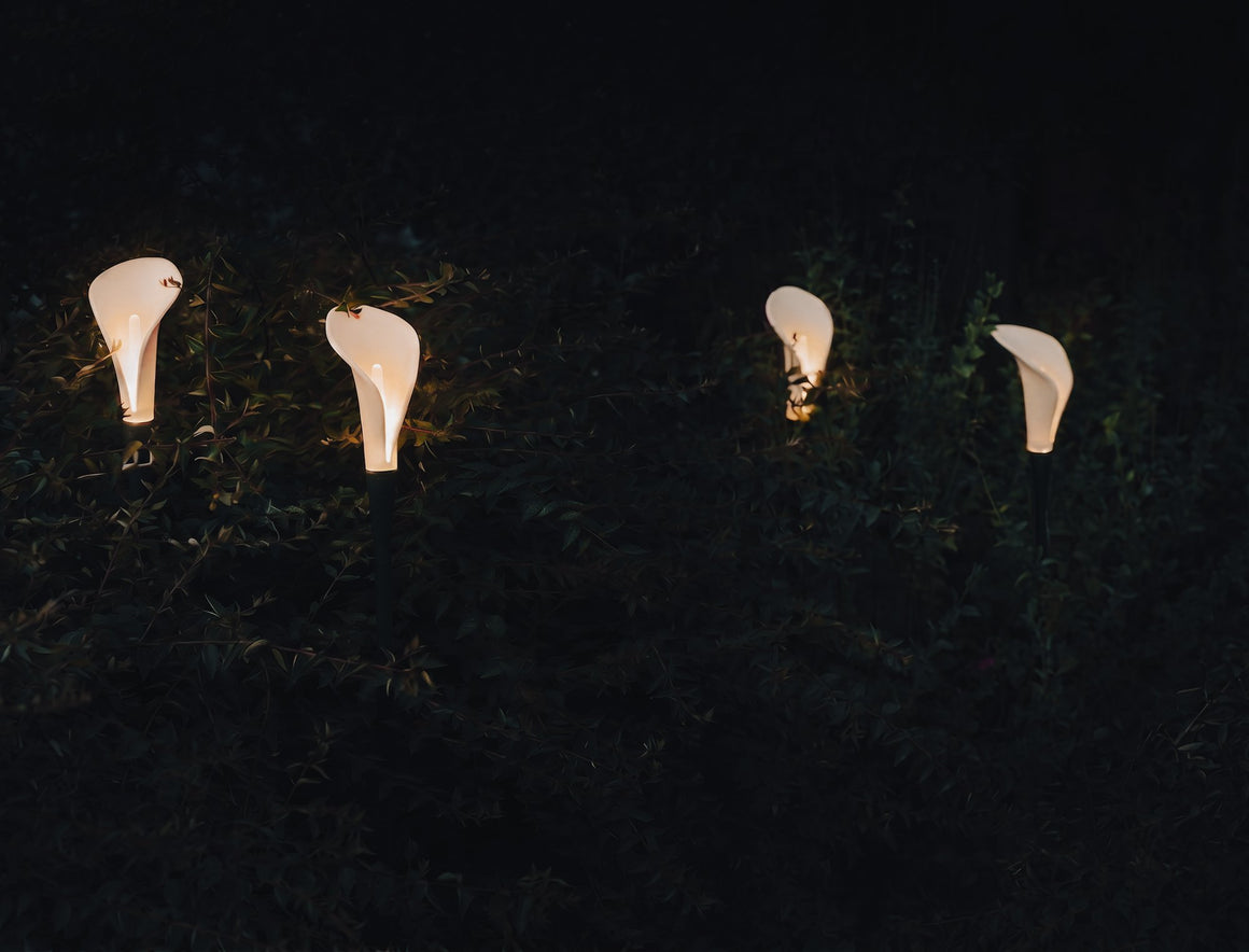 Photographie officielle Contardi — Bloom