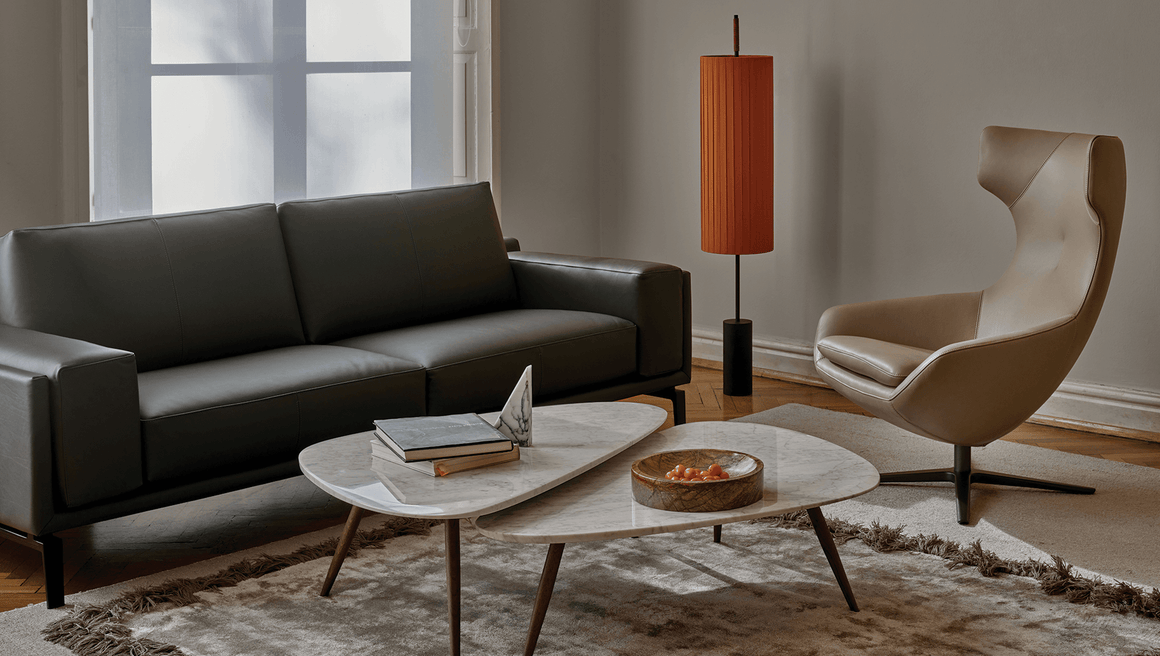 Fauteuil Caruzzo Leolux - image 1